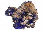 Vibrant Azurite & Malachite Crystal Cluster - Morocco #98756-1